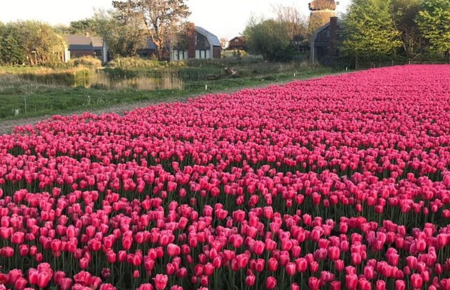 Holiday Home Klein Geluk - Foto 12