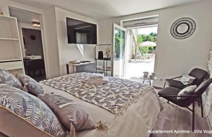 1 studio et 2 appartements 3 étoiles au calme à 150 m des thermes - Bains-Les-Bains - Foto 28