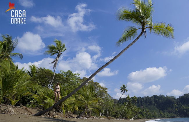 Room-private Honeymoon Bungalow - Foto 16