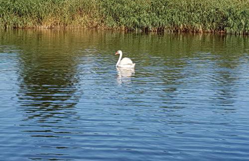 Feriendomizil Wohltat - Foto 23