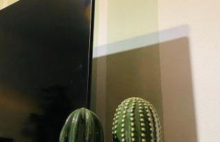 MXP Relax House - Photo 15