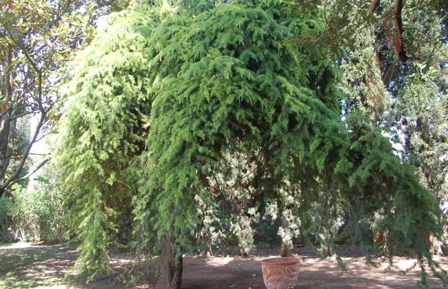 Camargue Modern Retreat - Foto 20