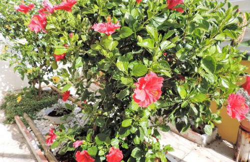 BLISS WHITE HOUSE - Foto 23