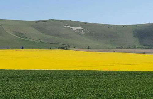 Perfect Cottage Hideaway in the Divine Pewsey Vale - Foto 42