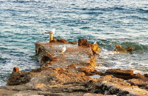 209 Zavala Ferienwohnung - Foto 71