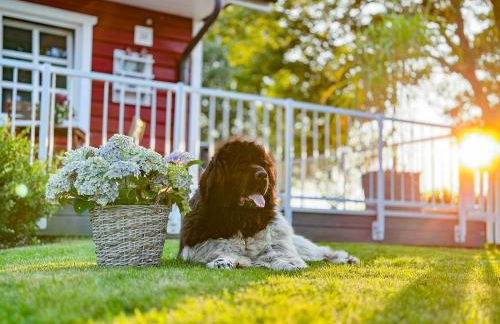 Wunderschöne Ferienwohnungen - Willkommen in der Deichluft - Foto 15