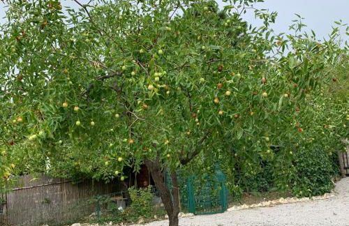 La Fabbrichina Il luogo della pace - Foto 43