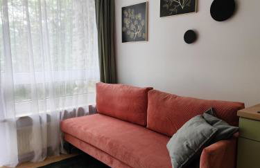 Mini Apartament pod Równicą - Photo 8