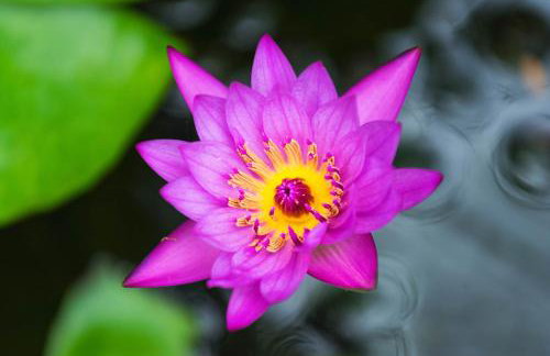 Hanalei Waterfalls House TVNC #5120 - Foto 47