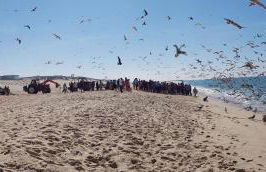 Casa da Mata - Foto 14