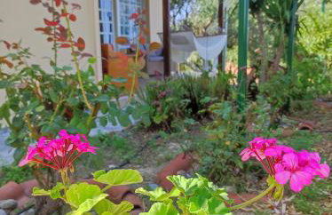 Anatolika Stamatis Paradise - Photo 57