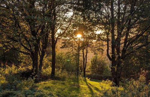 Hayloft studio in historic barn - Photo 19