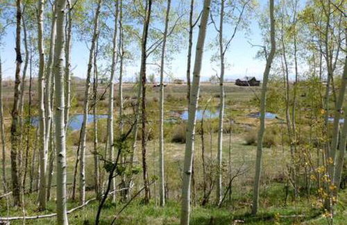 Cabin Rental for Large Groups Ideal for Colorado Glamping - Foto 47