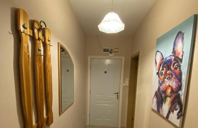 Studio - Sleeps 4 & Access to Pools - Photo 14