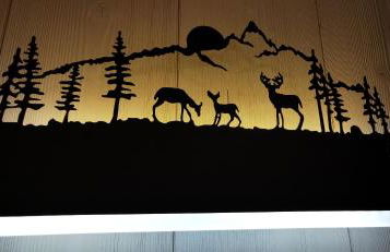 Le Renne Blanc Pyrénées de France - Foto 33