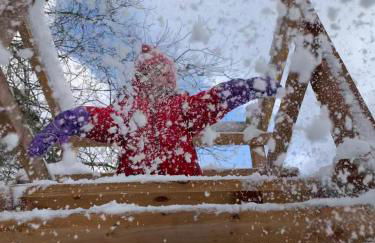 Eifelhäuschen am See - Foto 49