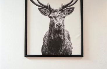 Apartment El Molin - Alpe Cermis Dolomites - Foto 13