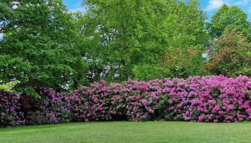 Ferienwohnung Hansens - Foto 4, Garden