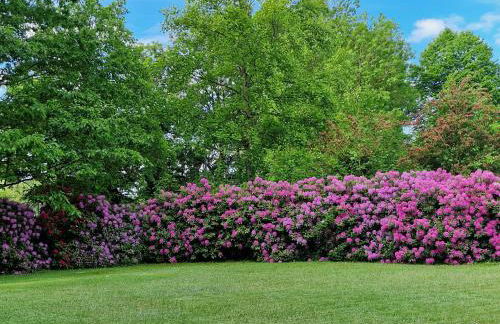 Ferienwohnung Hansens - Foto 4