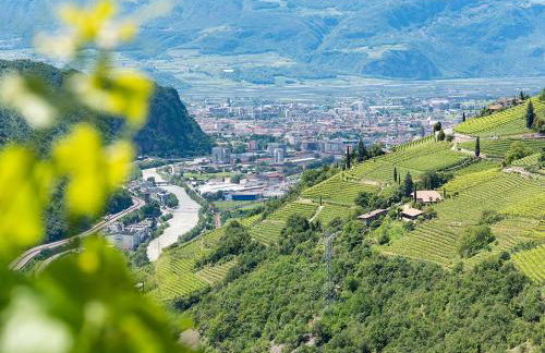 Weingut Schmid Oberrautner Apartment Suites - Foto 39