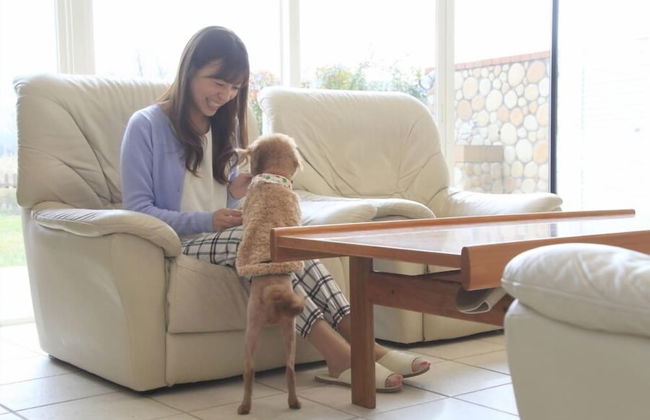 Kawaguchiko Urban Resort Villa - Foto 21