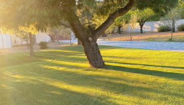 RELAXING POOL HOUSE IN LAGONISI 2 - Foto 3