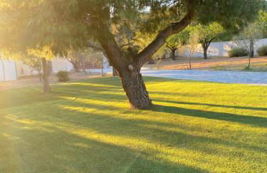 RELAXING POOL HOUSE IN LAGONISI 2 - Foto 3