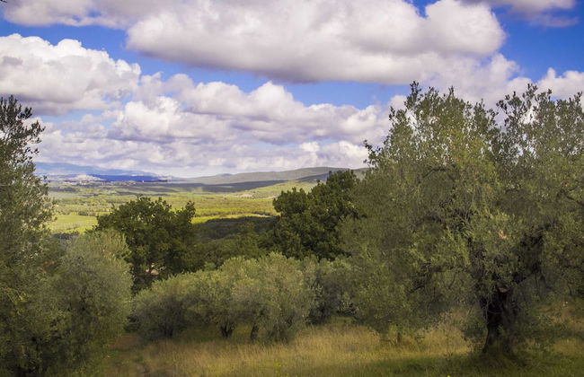 Snug Holiday Home in Castagneto Carducci near Thermal Bath - Foto 34