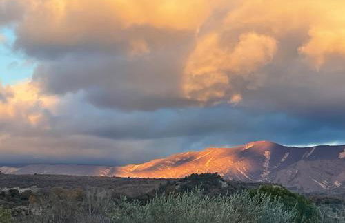 La Salamandre de l Olivier - le Mimosa - Foto 30