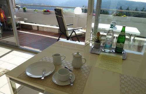 Ferienwohnung Stefi, magischer Ausblick, Schwimmbad-Sauna in Lahnstein - Foto 13