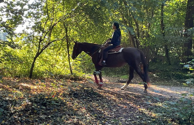 Lago Maggiore Holiday House With Panoramic Views - Foto 43