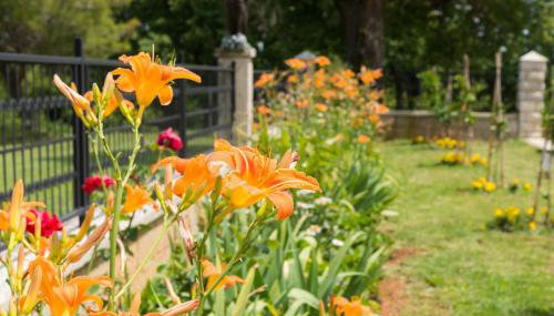 Lovely House LINDI in Poreč - Photo 3, Garden