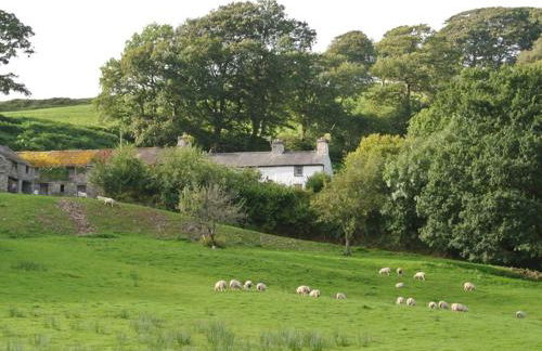 Glan y Morfa Welsh farmhouse overlooking Dyfi Estuary Rated 4 star Visit Wales - Photo 45