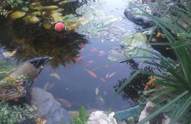 The LITTLE HOUSE in HULL - Foto 62