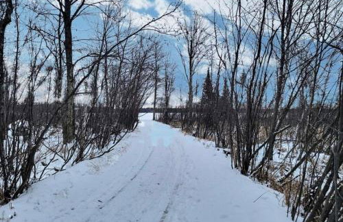 Lake Willow Lakefront House! Northwoods Retreat! - Foto 49