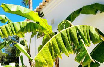 Casa Monzonea - Foto 23