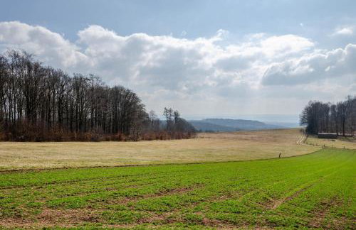 Fewo Jaeger - Foto 12