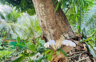 Vivenda São José - Oceanfront Paradise - Photo 57