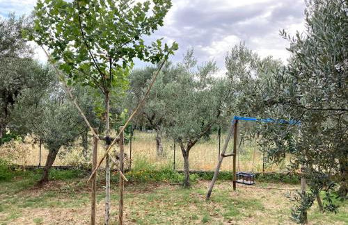 Casa Sisù-Appartamento immerso negli ulivi - Foto 35