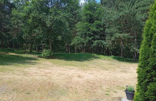 Dom letniskowy na wyłączność Polanka 11- 13 osób - Foto 22