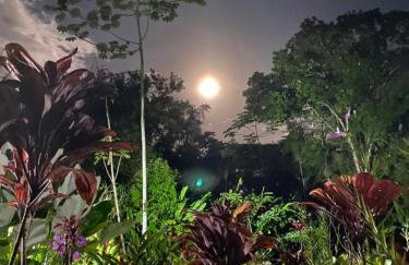 Rancho Vista Verde - Foto 8