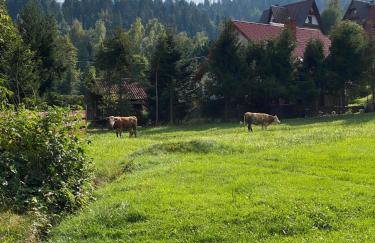 Noclegi "Na Szczyrboku" Dom II - Foto 10