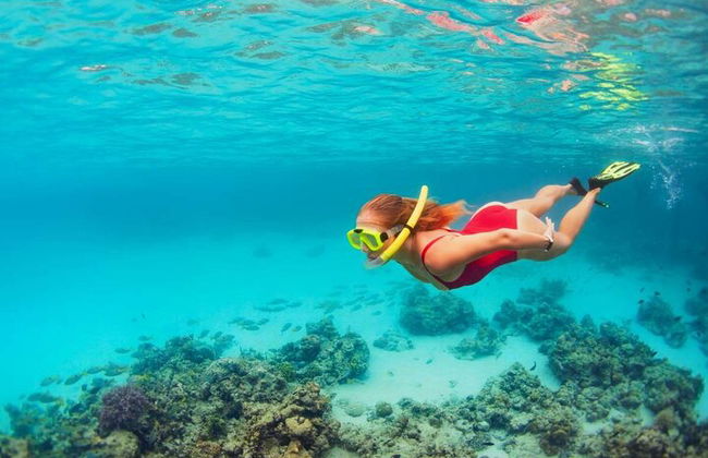 Isla Contoy e Isla Mujeres Tour saindo de Cancún - Foto 13