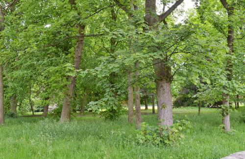 Park View Cottage - Foto 11