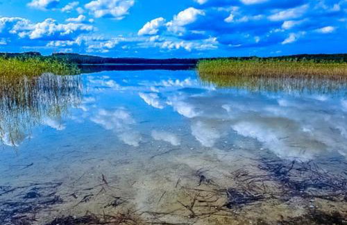 Large Holiday Villa With Sauna, Jacuzzi and Pool - Foto 94