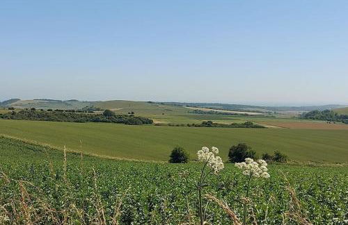 Blackberry Annex. Detached cottage. Rural location - Foto 53