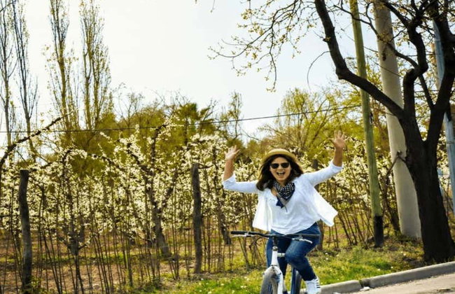 Alquiler de bicicleta en Maipú - Foto 6