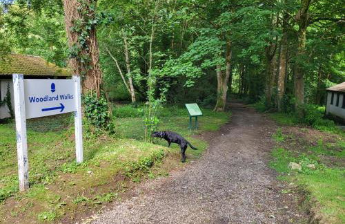 Bumbeldink - Foto 54