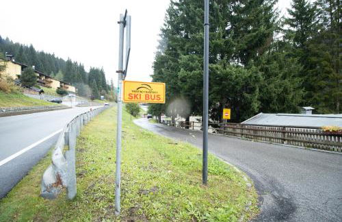 CAMPIGLIO Panorama sul Brenta - Foto 50