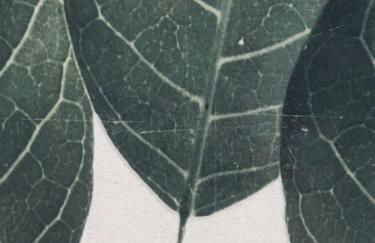 Alojamento DOZE - Aldeia do Telheiro - Foto 23